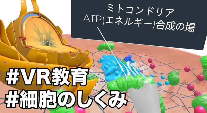 見て、触れて、体感しながら学習する、VR教育ソリューション