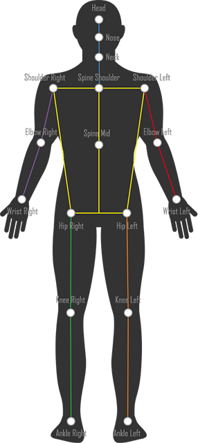 3D座標で最大17キーポイントをカメラ1台で人間の骨格情報を検出可能